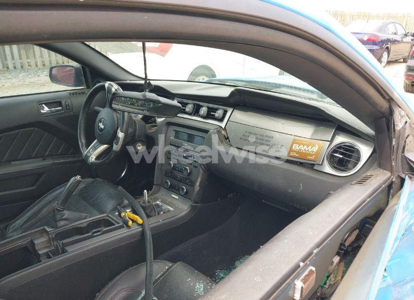 Photo 5 of 2010 Ford Mustang GT/GT PREMIUM (VIN 1ZVBP8CH8A5101616)