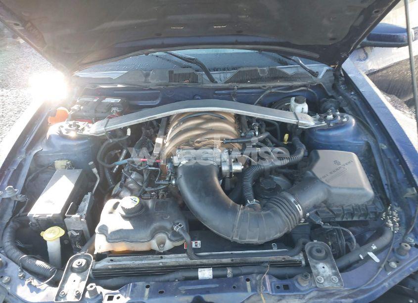 Photo 10 of 2010 Ford Mustang GT/GT PREMIUM (VIN 1ZVBP8CH8A5124359)