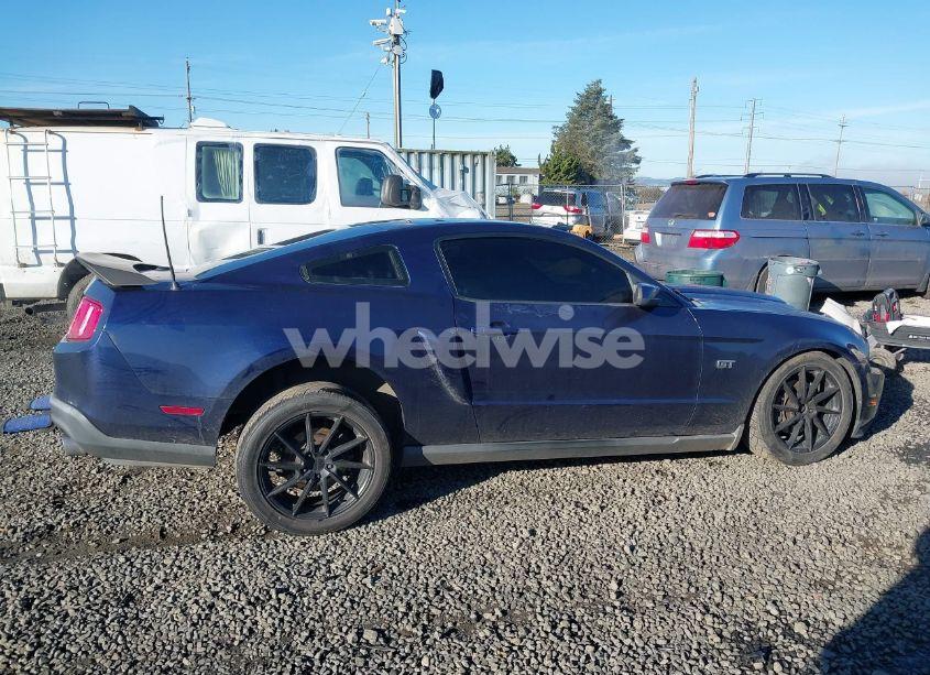 Photo 14 of 2010 Ford Mustang GT/GT PREMIUM (VIN 1ZVBP8CH8A5124359)