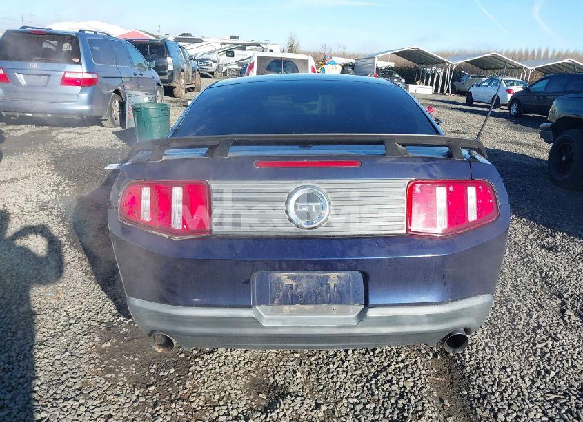 Photo 17 of 2010 Ford Mustang GT/GT PREMIUM (VIN 1ZVBP8CH8A5124359)