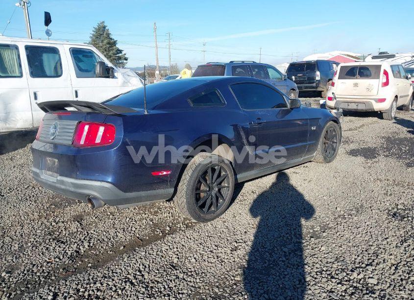 Photo 4 of 2010 Ford Mustang GT/GT PREMIUM (VIN 1ZVBP8CH8A5124359)