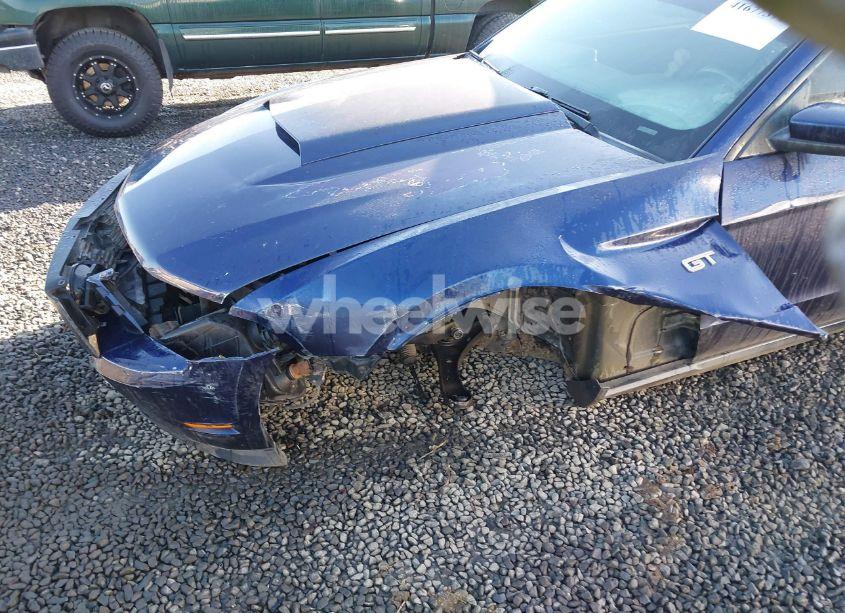 Photo 6 of 2010 Ford Mustang GT/GT PREMIUM (VIN 1ZVBP8CH8A5124359)