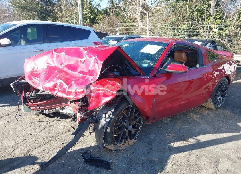 Photo 2 of 2010 Ford Mustang GT/GT PREMIUM (VIN 1ZVBP8CH8A5153568)