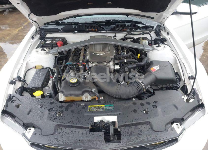 Photo 10 of 2010 Ford Mustang GT/GT PREMIUM (VIN 1ZVBP8CH9A5104685)