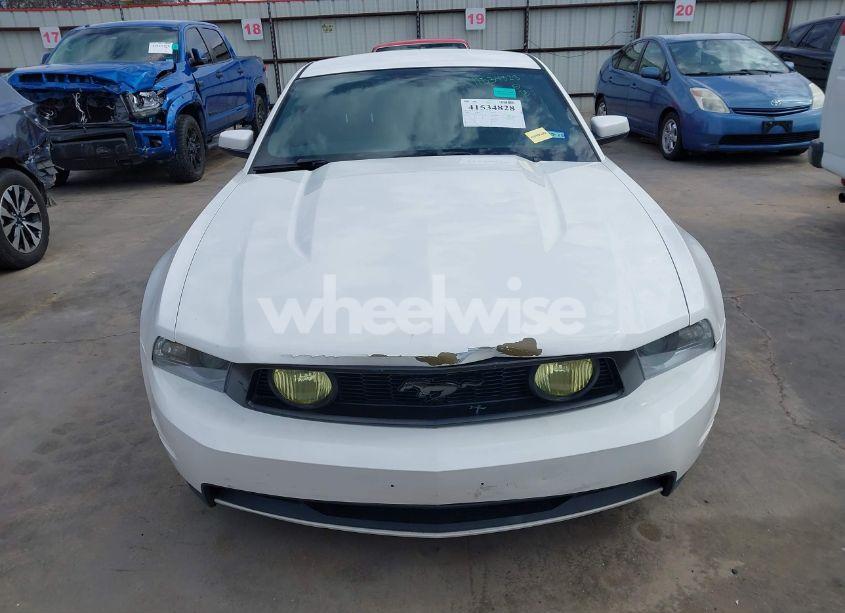 Photo 12 of 2010 Ford Mustang GT/GT PREMIUM (VIN 1ZVBP8CH9A5104685)