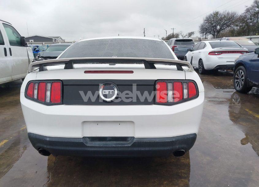 Photo 16 of 2010 Ford Mustang GT/GT PREMIUM (VIN 1ZVBP8CH9A5104685)