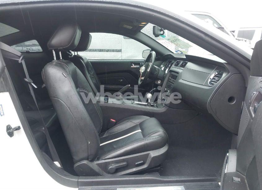 Photo 5 of 2010 Ford Mustang GT/GT PREMIUM (VIN 1ZVBP8CH9A5104685)