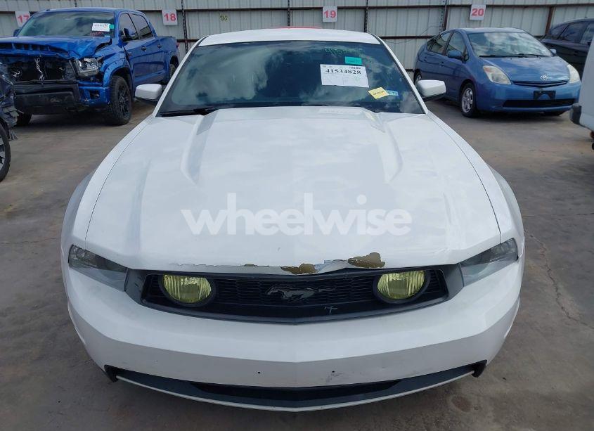 Photo 6 of 2010 Ford Mustang GT/GT PREMIUM (VIN 1ZVBP8CH9A5104685)