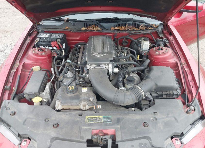 Photo 10 of 2010 Ford Mustang GT/GT PREMIUM (VIN 1ZVBP8CH9A5145852)