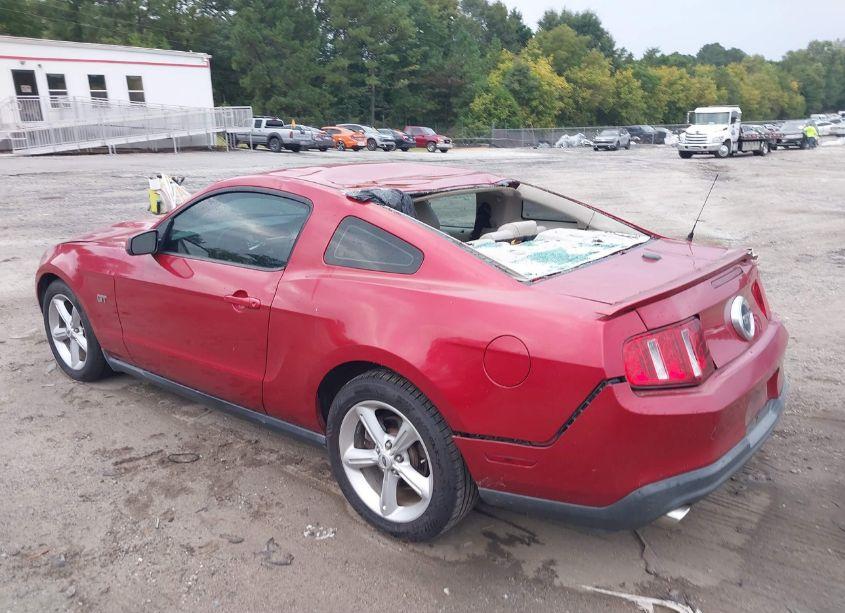Photo 3 of 2010 Ford Mustang GT/GT PREMIUM (VIN 1ZVBP8CH9A5145852)