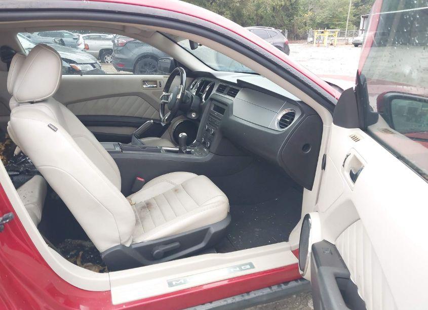 Photo 5 of 2010 Ford Mustang GT/GT PREMIUM (VIN 1ZVBP8CH9A5145852)