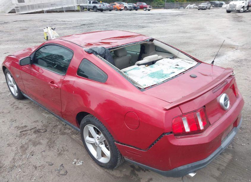 Photo 6 of 2010 Ford Mustang GT/GT PREMIUM (VIN 1ZVBP8CH9A5145852)
