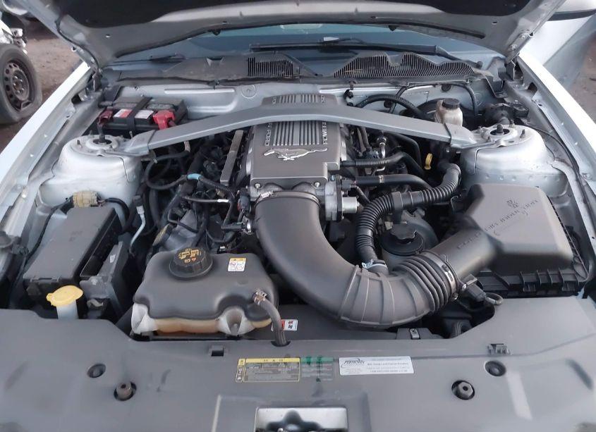 Photo 10 of 2010 Ford Mustang GT/GT PREMIUM (VIN 1ZVBP8CHXA5172302)