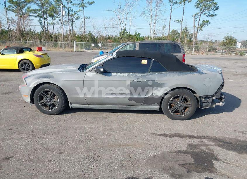 Photo 14 of 2011 Ford Mustang V6 (VIN 1ZVBP8EM0B5155021)