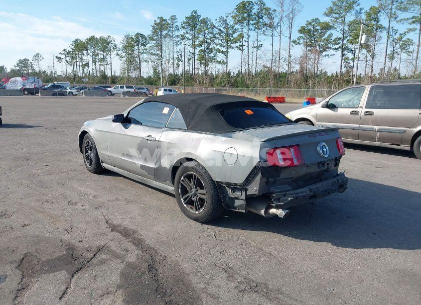 Photo 3 of 2011 Ford Mustang V6 (VIN 1ZVBP8EM0B5155021)