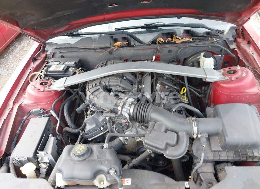 Photo 10 of 2011 Ford Mustang V6 (VIN 1ZVBP8EM0B5163569)