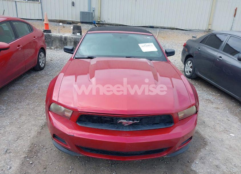 Photo 12 of 2011 Ford Mustang V6 (VIN 1ZVBP8EM0B5163569)