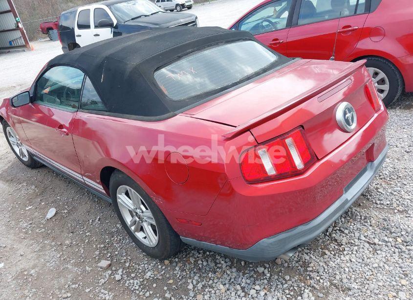 Photo 3 of 2011 Ford Mustang V6 (VIN 1ZVBP8EM0B5163569)