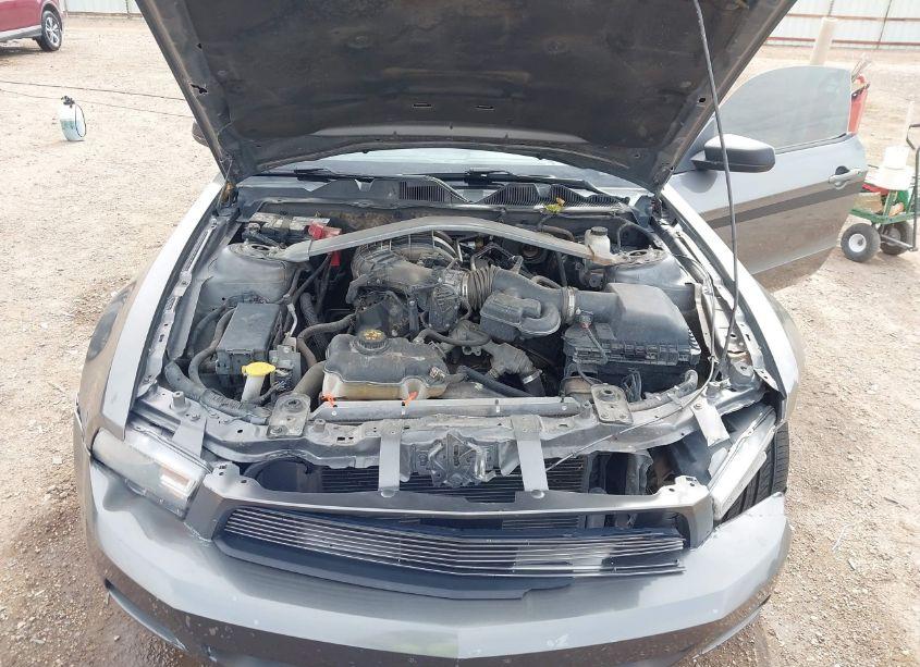 Photo 10 of 2012 Ford Mustang V6 PREMIUM (VIN 1ZVBP8EM0C5274401)