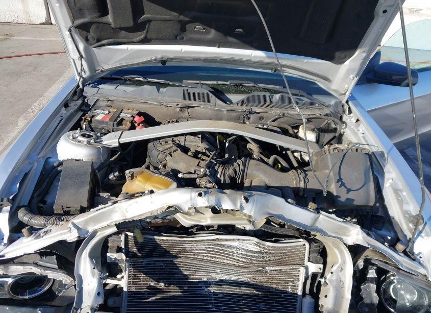 Photo 10 of 2014 Ford Mustang V6 (VIN 1ZVBP8EM0E5293324)