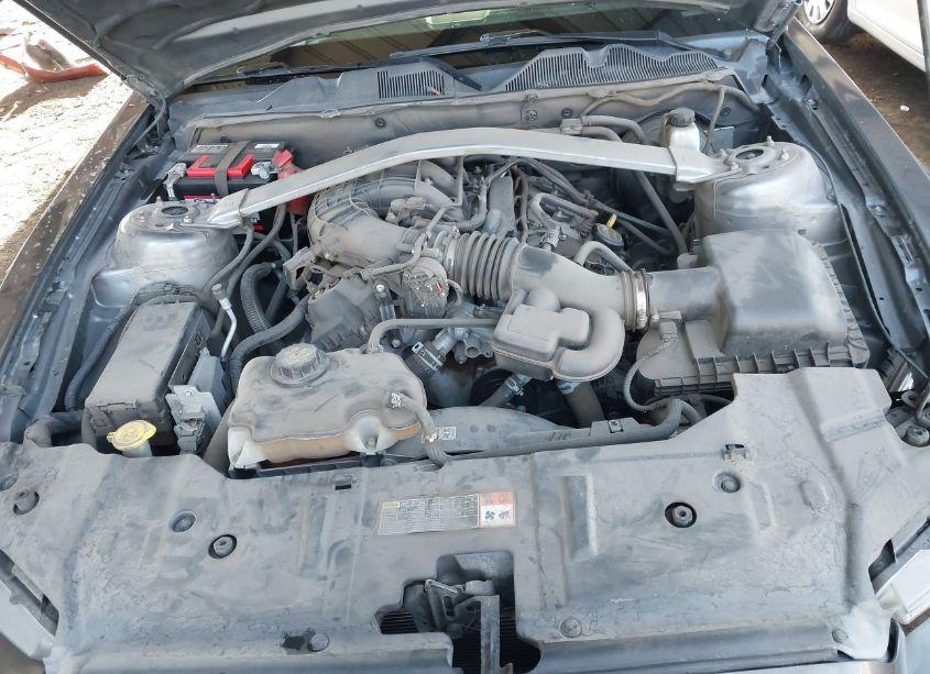 Photo 10 of 2014 Ford Mustang V6 PREMIUM (VIN 1ZVBP8EM0E5306931)