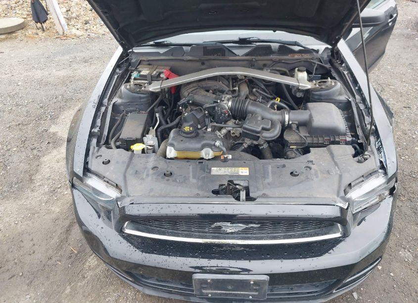 Photo 10 of 2014 Ford Mustang V6 (VIN 1ZVBP8EM0E5322529)