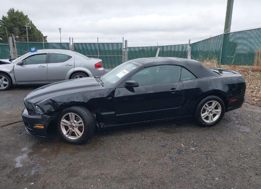 Photo 14 of 2014 Ford Mustang V6 (VIN 1ZVBP8EM0E5322529)