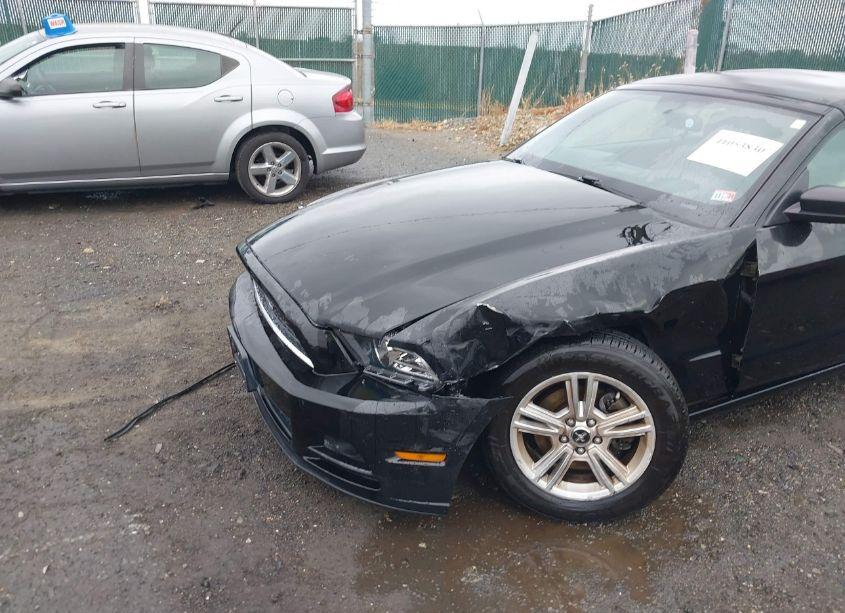 Photo 6 of 2014 Ford Mustang V6 (VIN 1ZVBP8EM0E5322529)
