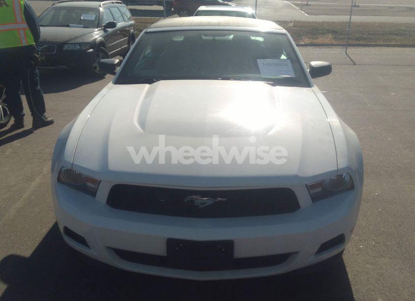 Photo 6 of 2011 Ford Mustang V6 PREMIUM (VIN 1ZVBP8EM1B5108970)