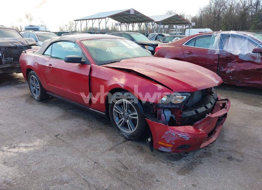 2011 Ford Mustang V6 PREMIUM (VIN 1ZVBP8EM1B5159465) main photo