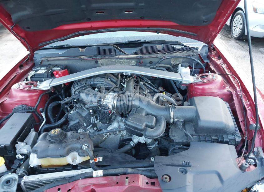 Photo 10 of 2011 Ford Mustang V6 PREMIUM (VIN 1ZVBP8EM1B5159465)