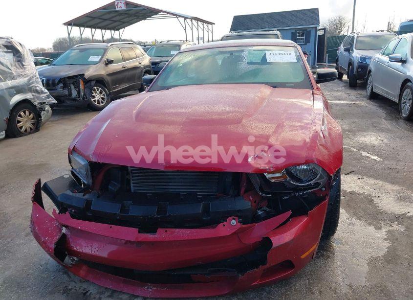 Photo 12 of 2011 Ford Mustang V6 PREMIUM (VIN 1ZVBP8EM1B5159465)
