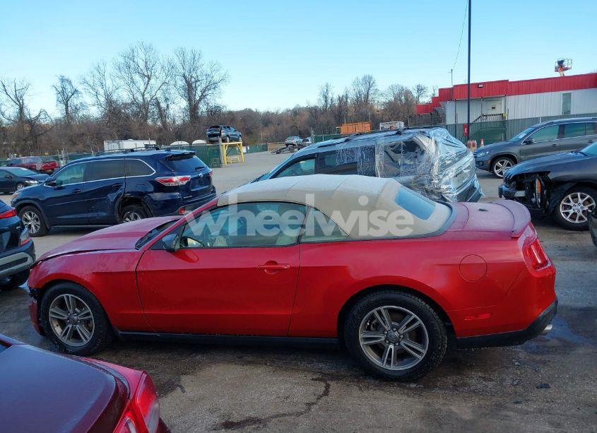 Photo 14 of 2011 Ford Mustang V6 PREMIUM (VIN 1ZVBP8EM1B5159465)