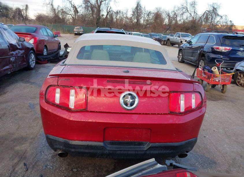Photo 16 of 2011 Ford Mustang V6 PREMIUM (VIN 1ZVBP8EM1B5159465)