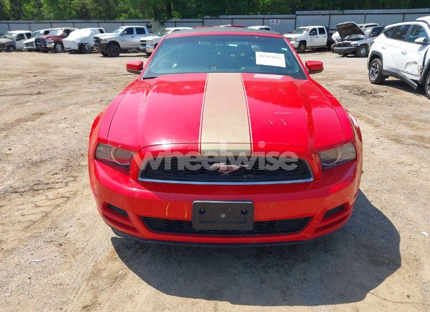 Photo 13 of 2014 Ford Mustang V6 PREMIUM (VIN 1ZVBP8EM1E5224836)