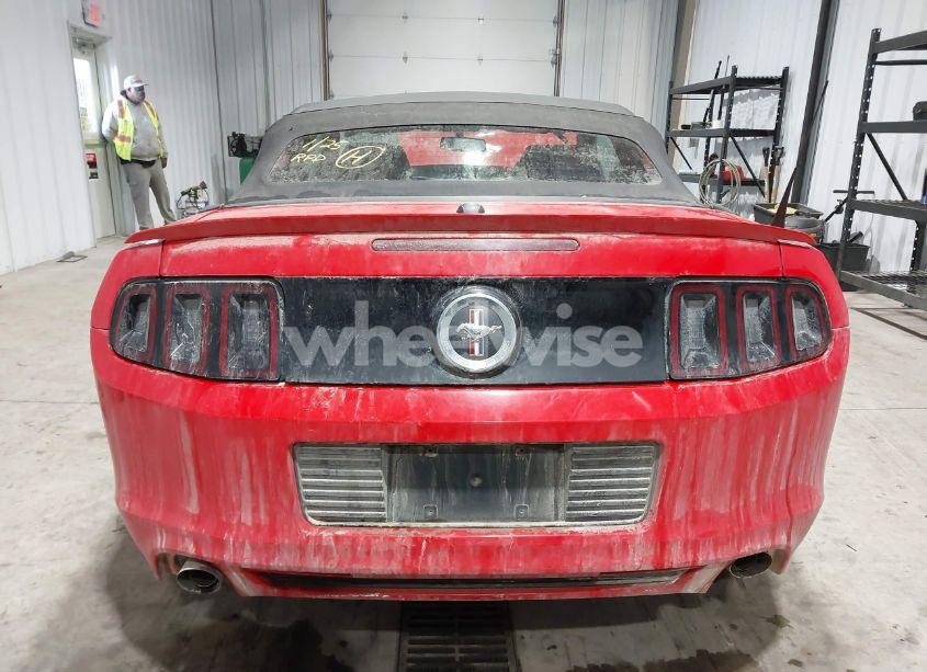 Photo 16 of 2014 Ford Mustang V6 PREMIUM (VIN 1ZVBP8EM1E5272367)
