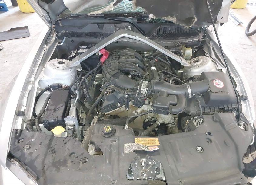 Photo 10 of 2014 Ford Mustang V6 PREMIUM (VIN 1ZVBP8EM1E5289685)