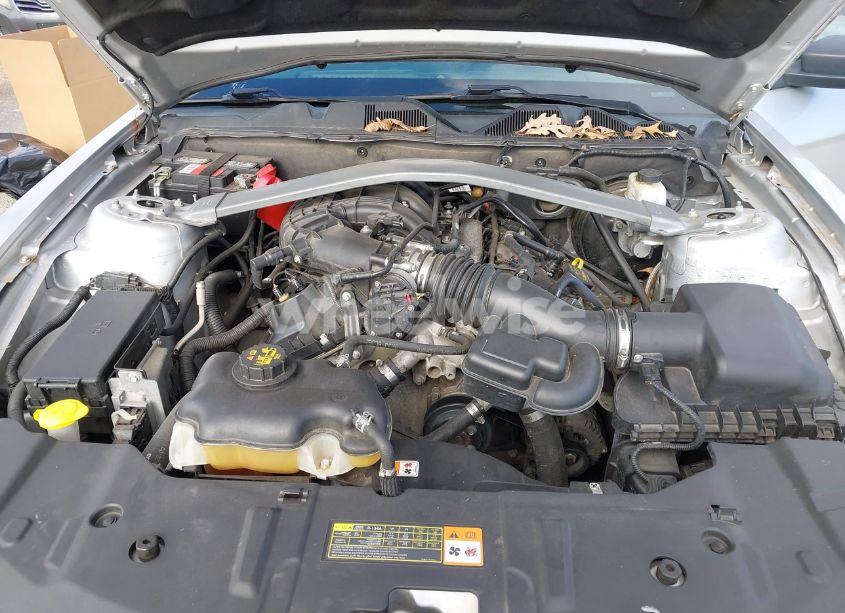 Photo 10 of 2013 Ford Mustang V6 (VIN 1ZVBP8EM2D5239439)