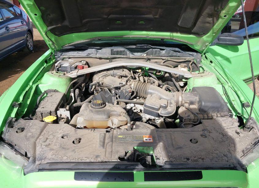 Photo 10 of 2013 Ford Mustang V6 (VIN 1ZVBP8EM2D5242017)