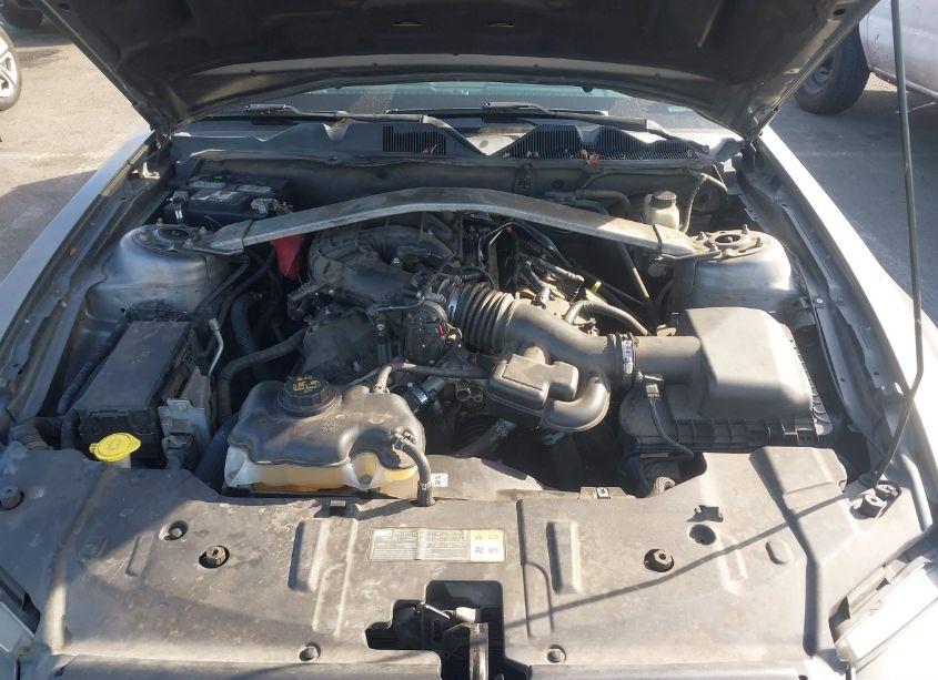 Photo 10 of 2014 Ford Mustang V6 PREMIUM (VIN 1ZVBP8EM2E5238129)