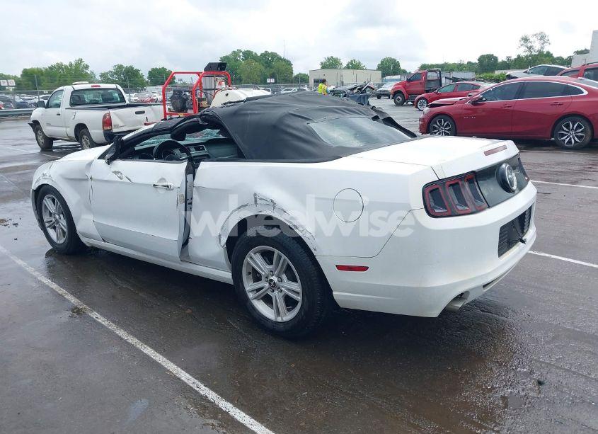Photo 3 of 2014 Ford Mustang V6 (VIN 1ZVBP8EM2E5292126)