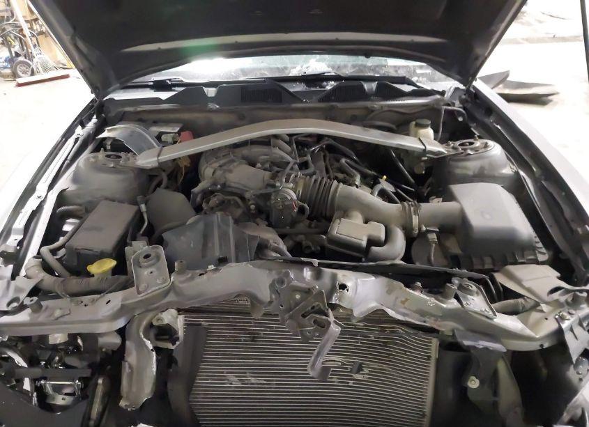 Photo 10 of 2014 Ford Mustang V6 PREMIUM (VIN 1ZVBP8EM2E5293292)