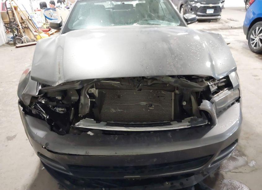 Photo 12 of 2014 Ford Mustang V6 PREMIUM (VIN 1ZVBP8EM2E5293292)