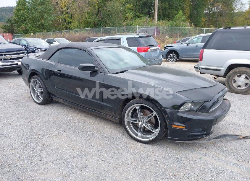 2013 Ford Mustang V6 PREMIUM (VIN 1ZVBP8EM3D5211391) main photo