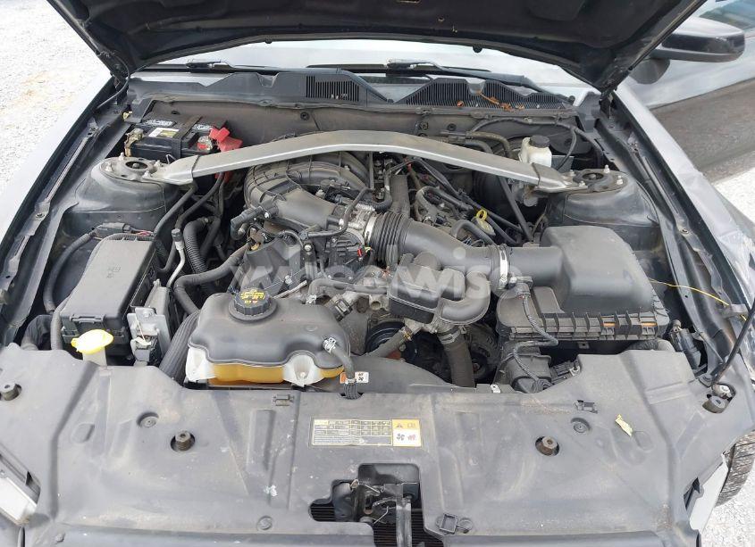 Photo 10 of 2013 Ford Mustang V6 PREMIUM (VIN 1ZVBP8EM3D5211391)