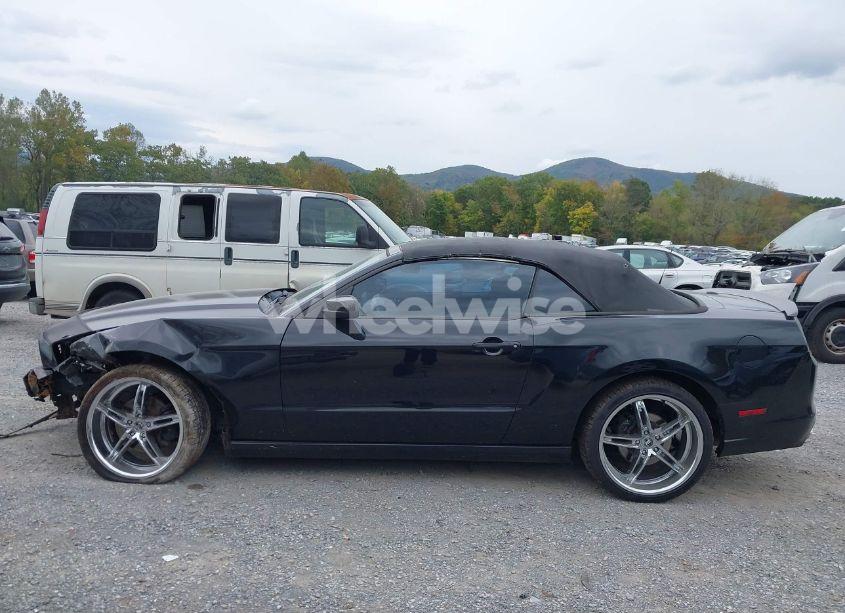 Photo 15 of 2013 Ford Mustang V6 PREMIUM (VIN 1ZVBP8EM3D5211391)