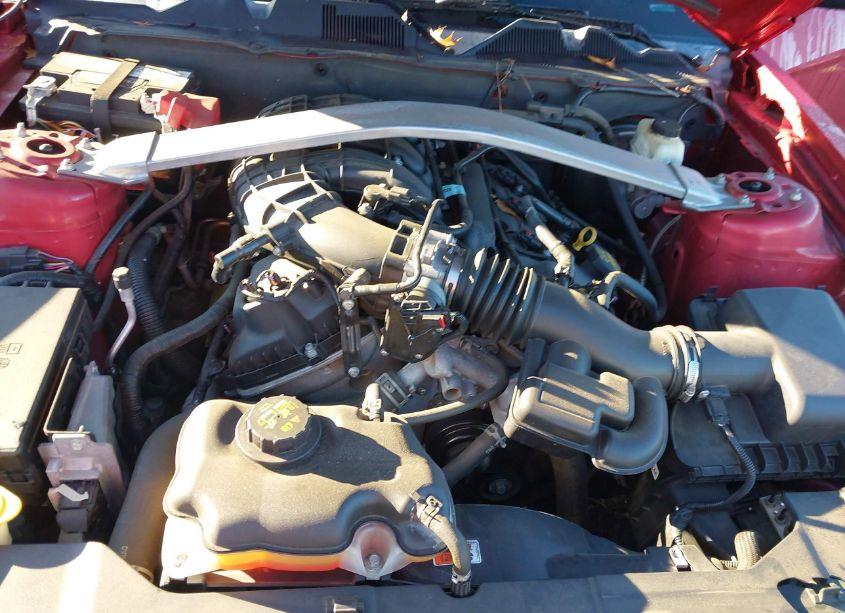 Photo 10 of 2013 Ford Mustang V6 PREMIUM (VIN 1ZVBP8EM3D5256430)