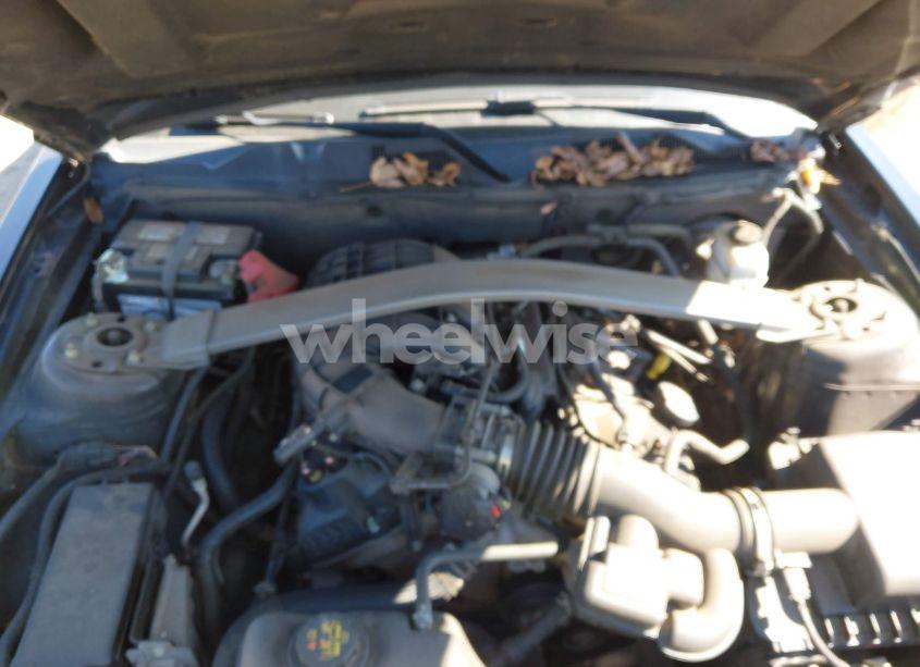 Photo 10 of 2014 Ford Mustang V6 (VIN 1ZVBP8EM3E5213160)