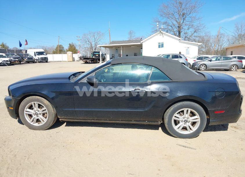 Photo 15 of 2014 Ford Mustang V6 (VIN 1ZVBP8EM3E5213160)