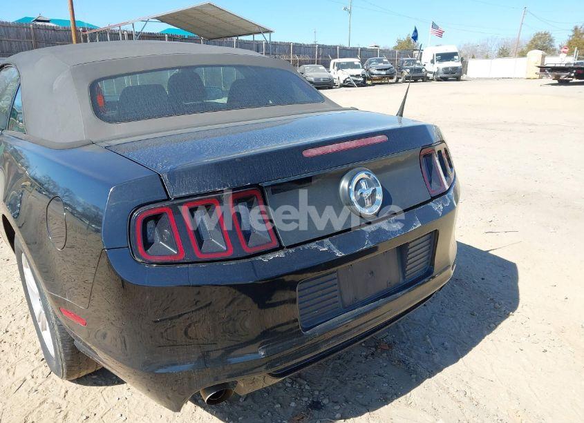 Photo 6 of 2014 Ford Mustang V6 (VIN 1ZVBP8EM3E5213160)
